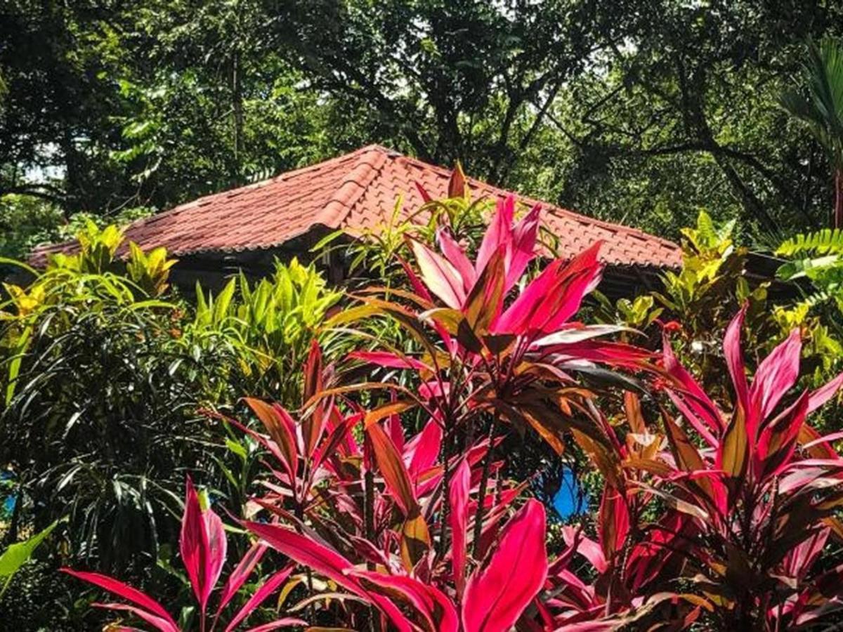 Casa Colores 몬테주마 외부 사진