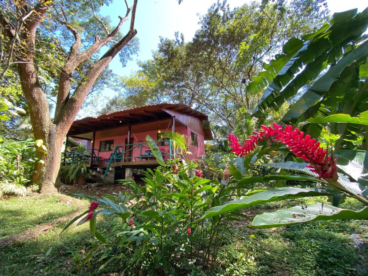 Casa Colores 몬테주마 외부 사진