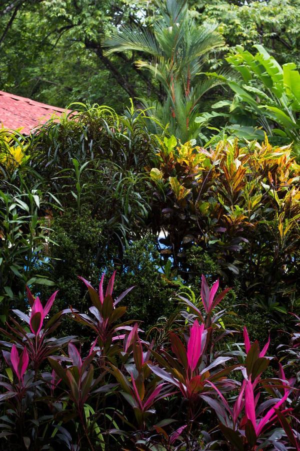 Casa Colores 몬테주마 외부 사진