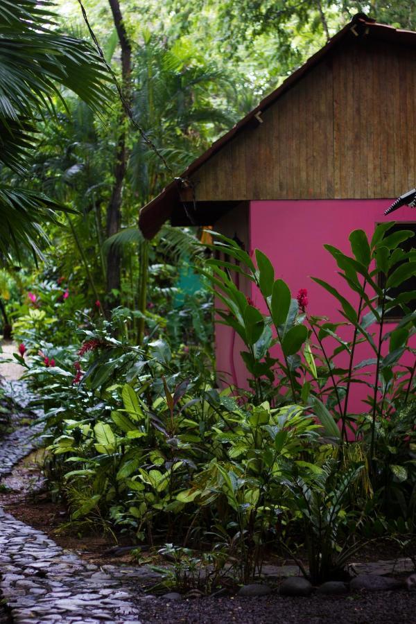 Casa Colores 몬테주마 외부 사진