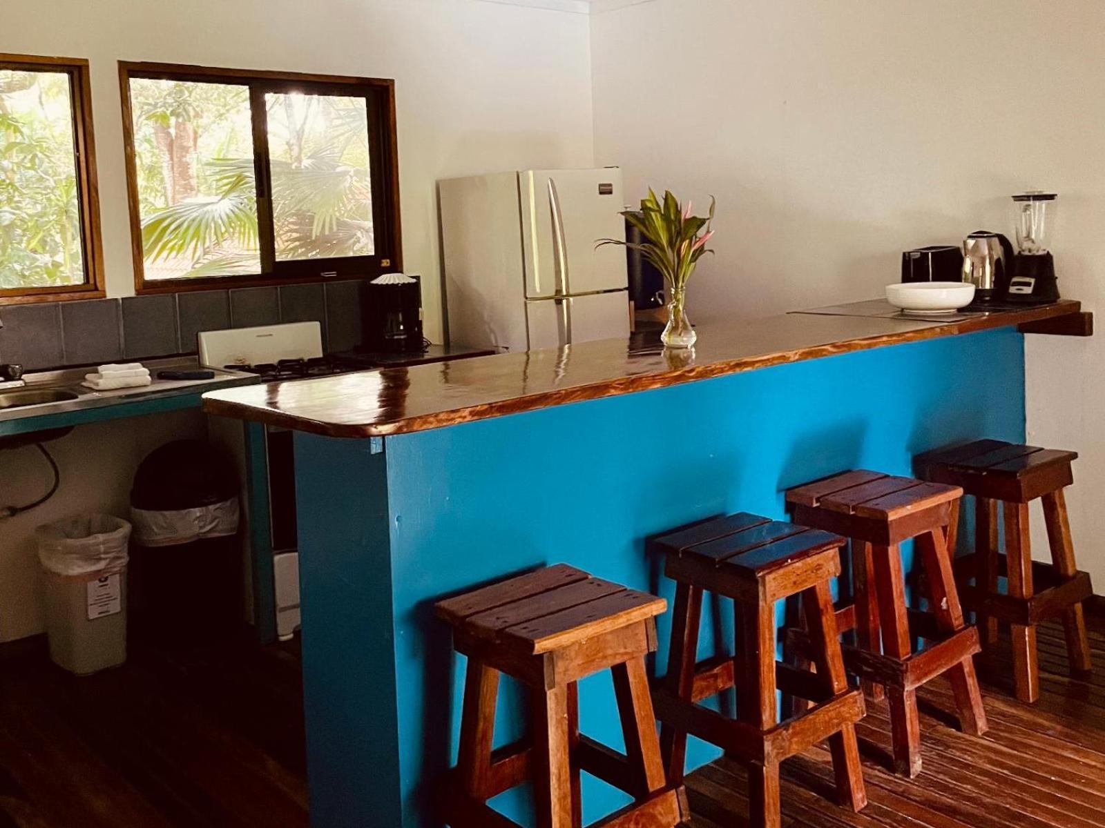 Casa Colores 몬테주마 객실 사진